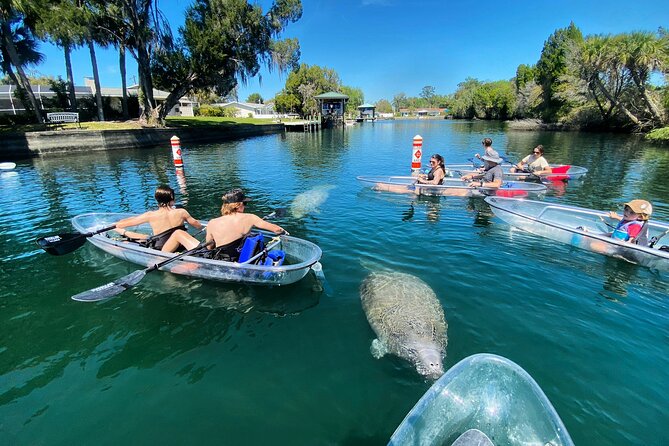 Crystal River Three Sisters Springs and Manatee Clear Kayak Tours - Small-Group Value: Gear Included, Attention Included