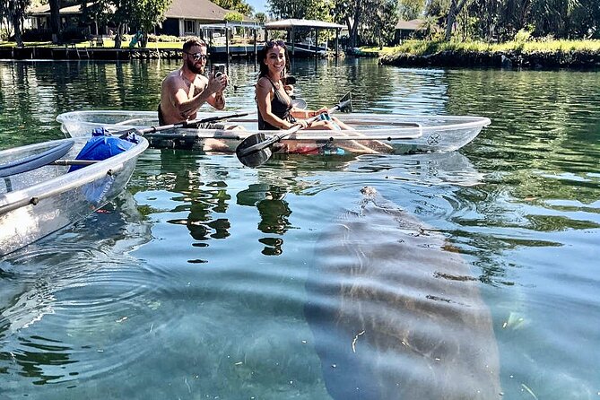 Crystal River Three Sisters Springs and Manatee Clear Kayak Tours - Should You Book This Crystal River Clear Kayak Tour?