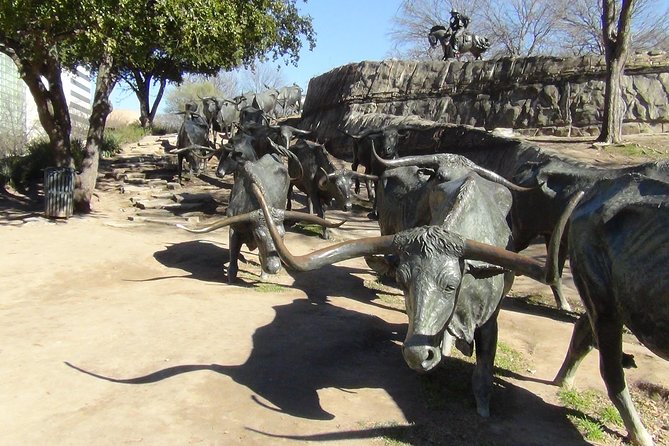 Dallas and Fort Worth City Sightseeing Tour Small-Group - Uptown and Photo-Friendly Streets: Klyde Warren Park and McKinney Avenue