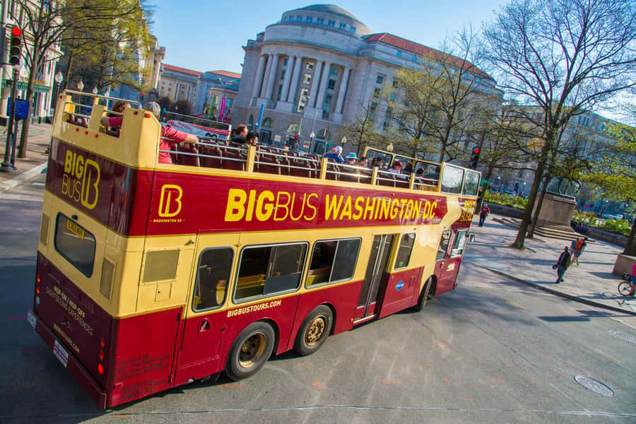 DC: Hop-on Hop-off Tour by Open-top Bus with 17 Stops - Who This Tour Fits Best