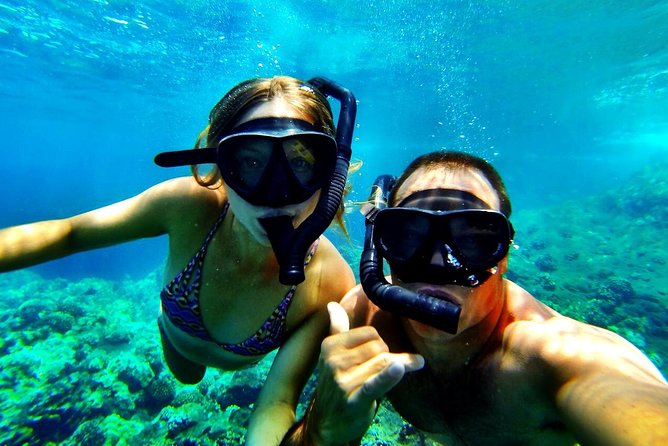 Deluxe Morning Snorkeling Adventure - Kona Morning Snorkeling Adventure, 8:15 start and a 4-hour reality check