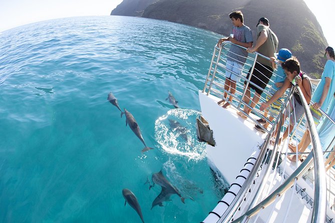 Deluxe Na Pali Morning Snorkel Tour on the Lucky Lady - Motion sickness, rough water, and safety limits you must plan for