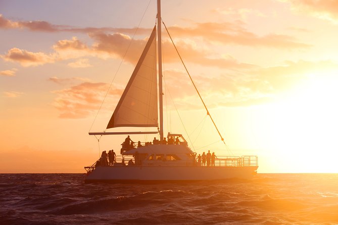 Deluxe Na Pali Sunset Tour on the Lucky Lady - Wildlife spotting that feels like more than a checklist