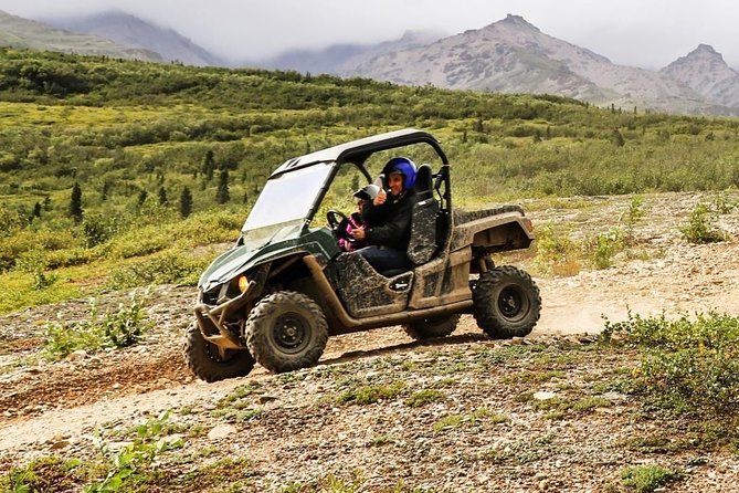 Denali ATV Trailblazer 3.5 Hour Tour - Mud, Dust, and Bumpy Terrain: The Real-World Comfort Check
