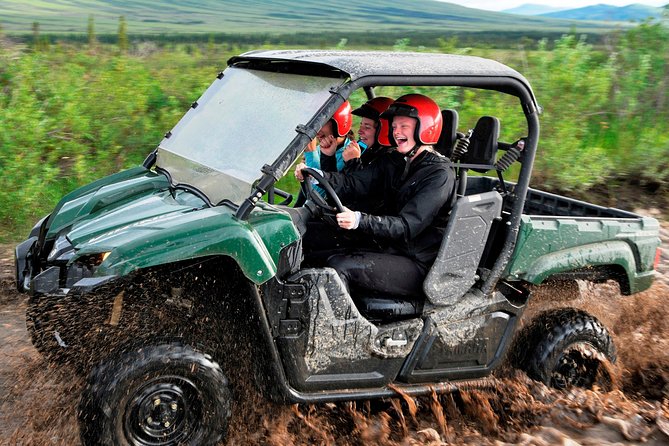 Denali ATV Trailblazer 3.5 Hour Tour - Single Rider vs Side-by-Side: Pick Your Adventure Level