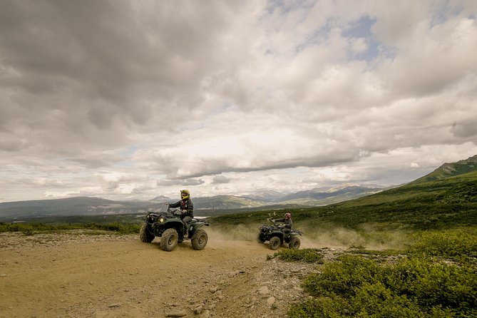 Denali ATV Trailblazer 3.5 Hour Tour - Guides Behind the Scenes: Safety, Facts, and Real Personalities