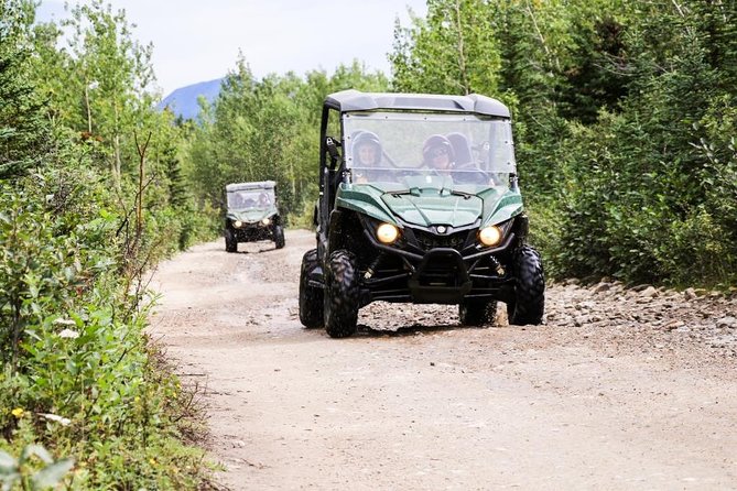 Denali ATV Trailblazer 3.5 Hour Tour - Alaska Range Photo Ops: Where the Stops Pay Off