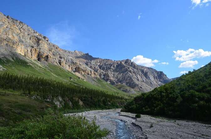 Denali Flyer Flightseeing Tour from Talkeetna - Key Things To Know Before You Go