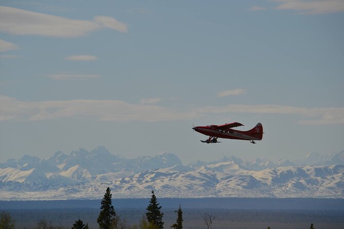Denali Grand Flightseeing Tour from Talkeetna - Flying Denali From All Sides: Views You Can Actually Name