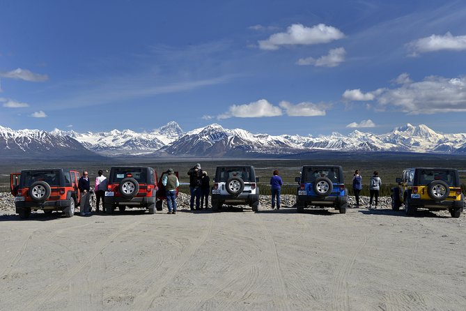 Denali Highway Jeep Excursion - Denali Highway by Jeep, not a bus: what you are paying for