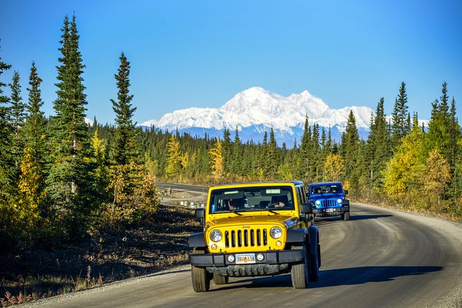 Denali Highway Jeep Excursion - Wildlife spotting reality check: caribou, bears, wolves, and the moose factor
