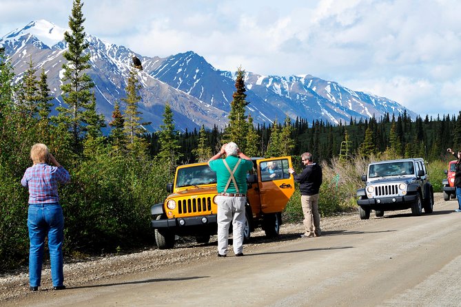 Denali Highway Jeep Excursion - Guides are the secret sauce: what “great” looks like on this tour