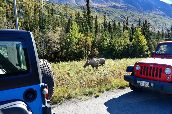 Denali Highway Jeep Excursion - Comfort and extras: snacks, binoculars, and covered jeeps