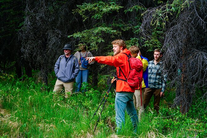 Denali Park Nature Walk (3 Hours) w/Expert Naturalist - Entering Denali Park on a forest-learning mission