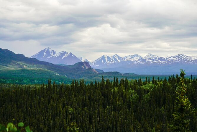 Denali Park Nature Walk (3 Hours) w/Expert Naturalist - How hard is it, really, on a 3-hour walk