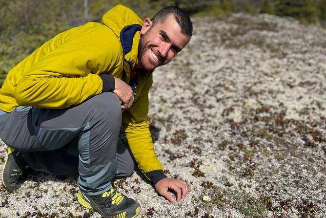Denali Park Nature Walk (3 Hours) w/Expert Naturalist - What’s included, and what you need to pack