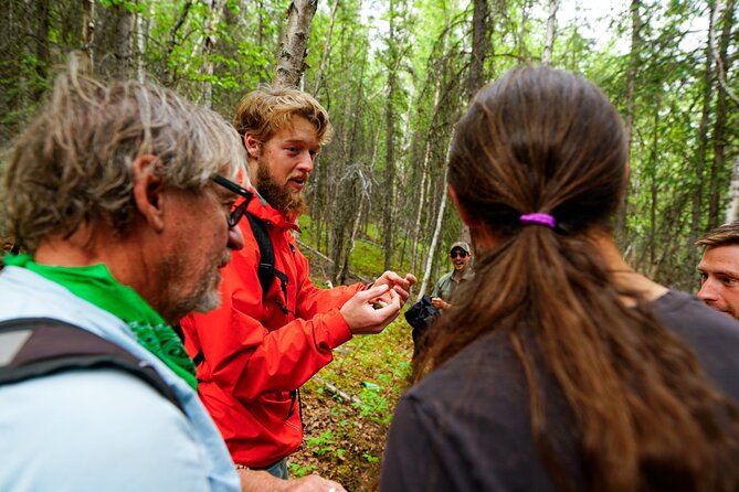 Denali Park Nature Walk (3 Hours) w/Expert Naturalist - Price and value: what you get for $139