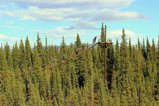 Denali Park Zipline Adventure - Getting to the course: pickup, off-road ride, and wildlife odds