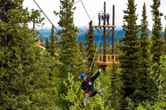 Denali Park Zipline Adventure - The bridges and the Ascending Bridge Tower climb