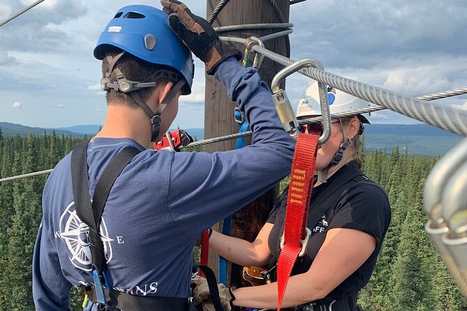 Denali Park Zipline Adventure - Price and value: is $208.99 worth it?