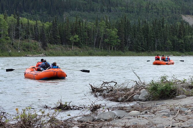 Denali Rafting Wilderness Wave - Wildlife viewing: why rafting beats the road in Denali country