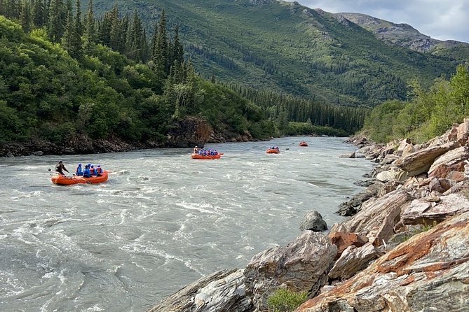 Denali Rafting Wilderness Wave - The day’s route: Denali National Park stops and a Healy pause