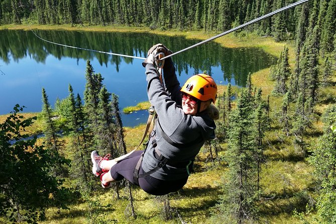 Denali Zipline Tour in Talkeetna, AK - Key Things I’d Tell a Friend Before You Go