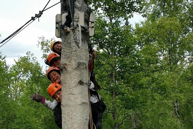 Denali Zipline Tour in Talkeetna, AK - Gear-Up and Ground School: Where Safety Gets Real