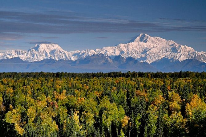 Denali Zipline Tour in Talkeetna, AK - Price and Value: Is $168.92 Worth It?