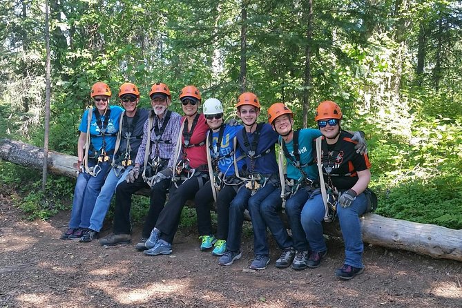 Denali Zipline Tour in Talkeetna, AK - Who This Tour Is Perfect For, and Who Should Reconsider