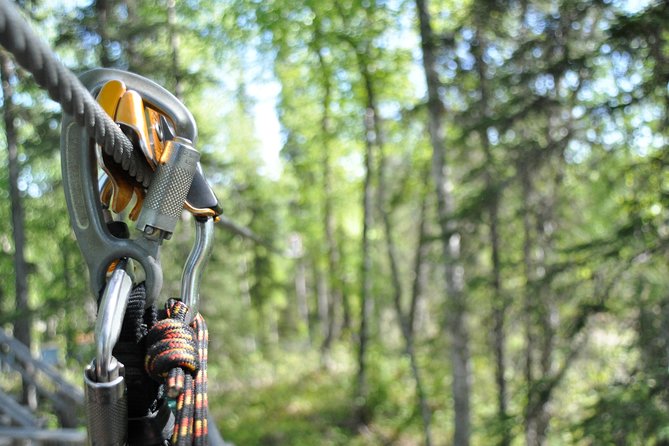 Denali Zipline Tour in Talkeetna, AK - Alaska-Weather Prep: What to Wear So You Stay Comfortable