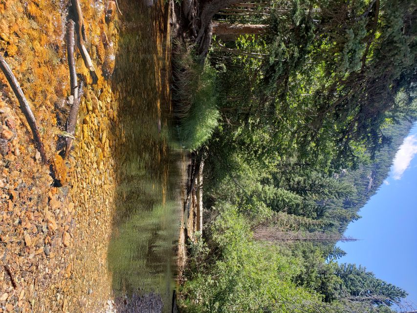 Denver: Rocky Mountain National Park Tour with Picnic Lunch - Key highlights worth planning around
