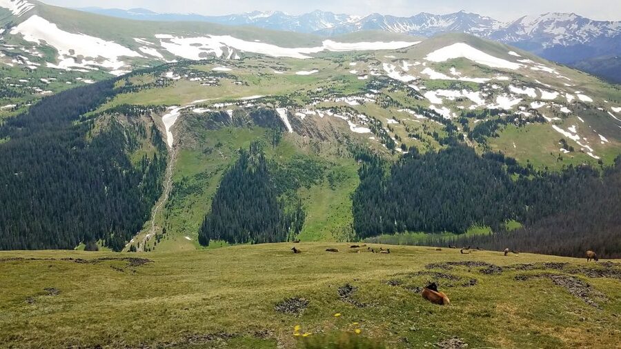 Denver: Rocky Mountain National Park Tour with Picnic Lunch - Alpine Visitor Center and short hikes: pace you can handle