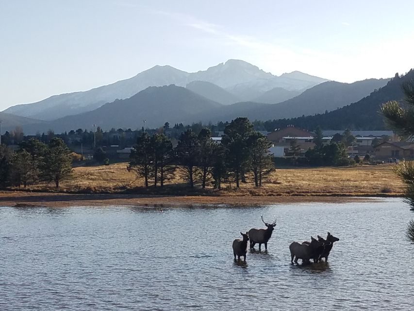 Denver: Rocky Mountain National Park Tour with Picnic Lunch - Lyons and Estes Park: a quick start that prevents a rushed day