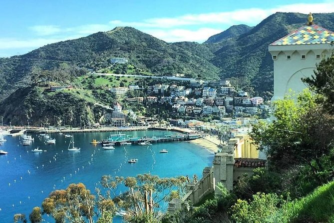 Discover Avalon: Catalina Scenic Tour - Key things to know before you go