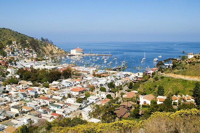 Discover Avalon: Catalina Scenic Tour - Where You Start: Island Tour Plaza and the Sumner Ave Meeting Point
