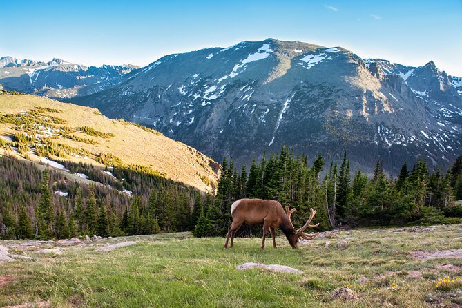 Discover Rocky Mountain National Park - Key Highlights You’ll Actually Feel