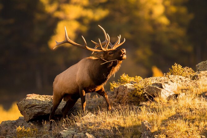 Discover Rocky Mountain National Park - Estes Park and the Stanley Hotel Moment