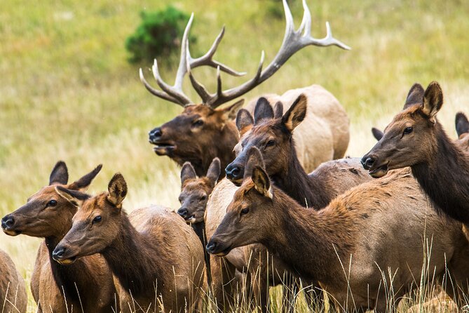 Discover Rocky Mountain National Park - How the 8 Hours Really Works on the Ground