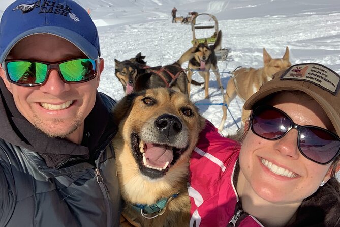 Dog Sledding Adventure in Willow, Alaska - Willow husky dog sledding, the family-kennel way