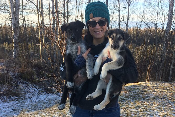 Dog Sledding Adventure in Willow, Alaska - The Mount McKinley stop: what it means for your photos and your pace