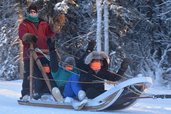 Dog Sledding and Mushing Experience in North Pole - North Pole Husky Mushing in 30 Minutes: What Makes It Work
