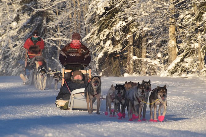 Dog Sledding and Mushing Experience in North Pole - Rod’s Alaskan Guide Service: Gear Up Like You Mean It