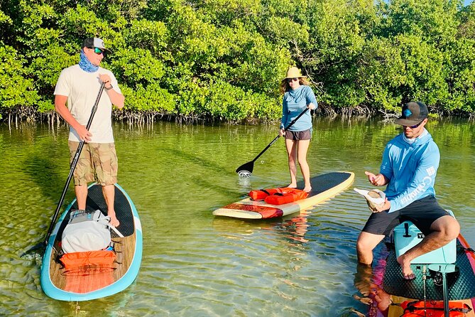 Dolphin and Manatee Adventure Tour of Fort Myers - Route expectations: mangroves, waterways, and shared water