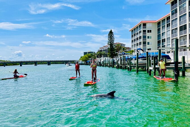 Dolphin and Manatee Adventure Tour of Fort Myers - Duration, group size, and why timing affects your experience