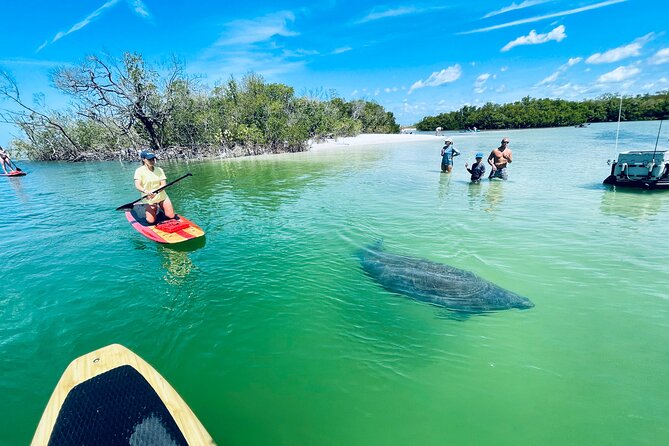 Dolphin and Manatee Adventure Tour of Fort Myers - Who should book this tour and who might prefer something else