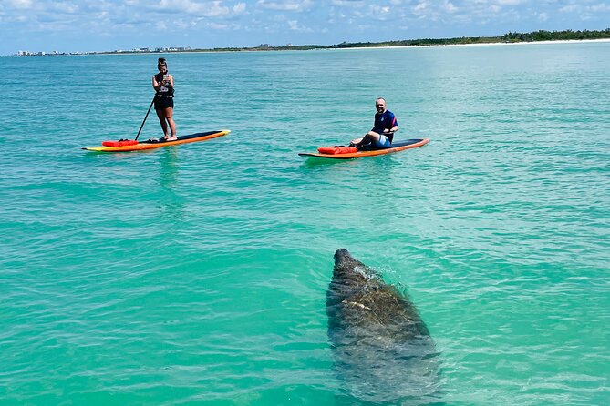 Dolphin and Manatee Adventure Tour of Fort Myers - Fort Myers Beach stop and the seashell break you will appreciate