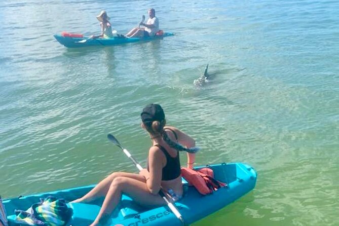 Dolphin and Manatee Kayak Tour of Daytona Beach - Key highlights to know before you go