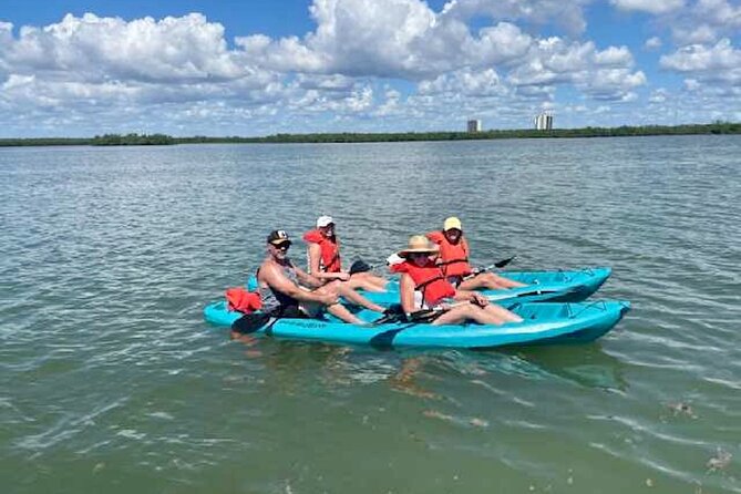 Dolphin and Manatee Kayak Tour of Daytona Beach - The setting: Daytona Beach, but quieter and wilder