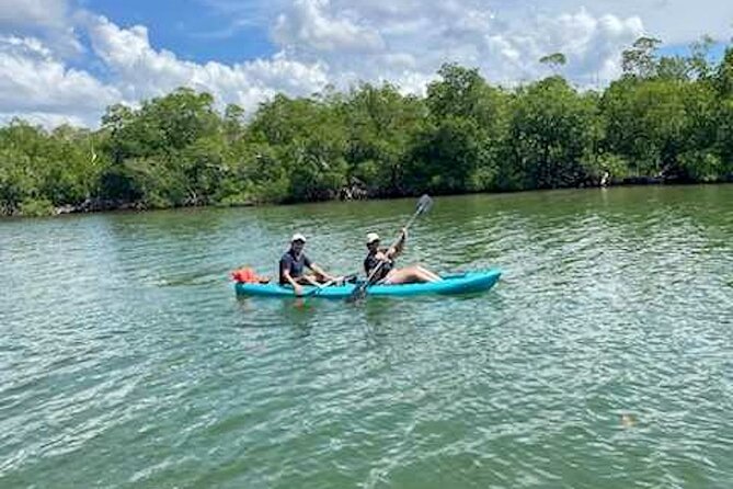 Dolphin and Manatee Kayak Tour of Daytona Beach - Beginner-friendly pacing: what to expect in the first 30 minutes